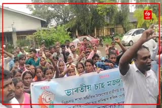 Bharatiya Chah Mazdoor Sangha Protest in Dibrugarh