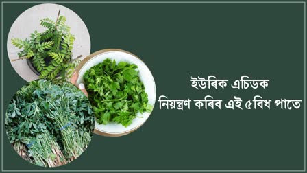 Healthy Leaves: These 5 miraculous leaves will eliminate the increased uric acid in the body, eat daily