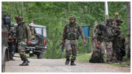 Army foils infiltration bid along LoC in J-K's Poonch, two terrorists killed