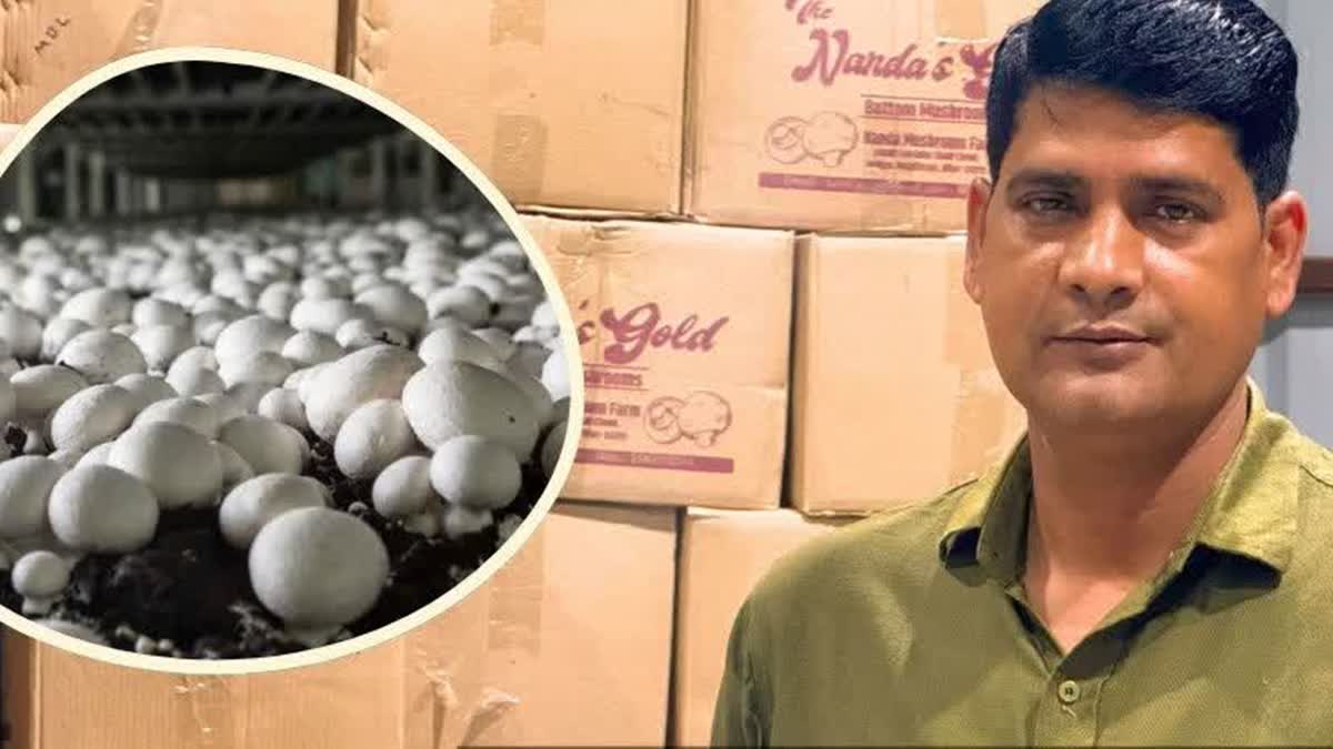 Bihar's 'Mushroom Man' Shashi Bhushan Tiwari Scripts Success Story