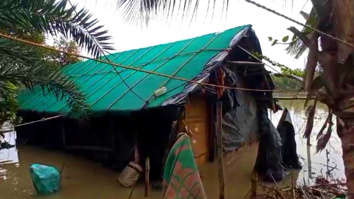 River Erosion in Kakdwip