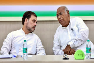 Leader of Opposition in Lok Sabha and Congress leader Rahul Gandhi (left) with party president Mallikarjun Kharge.