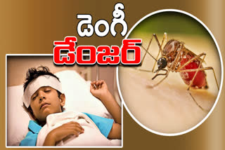 Dengue and Viral Fever Cases in Telangan