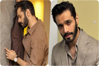 Wahaj Ali's upcoming dramas