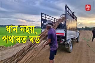 large quantity of rods recovered from the paddy field of jonai