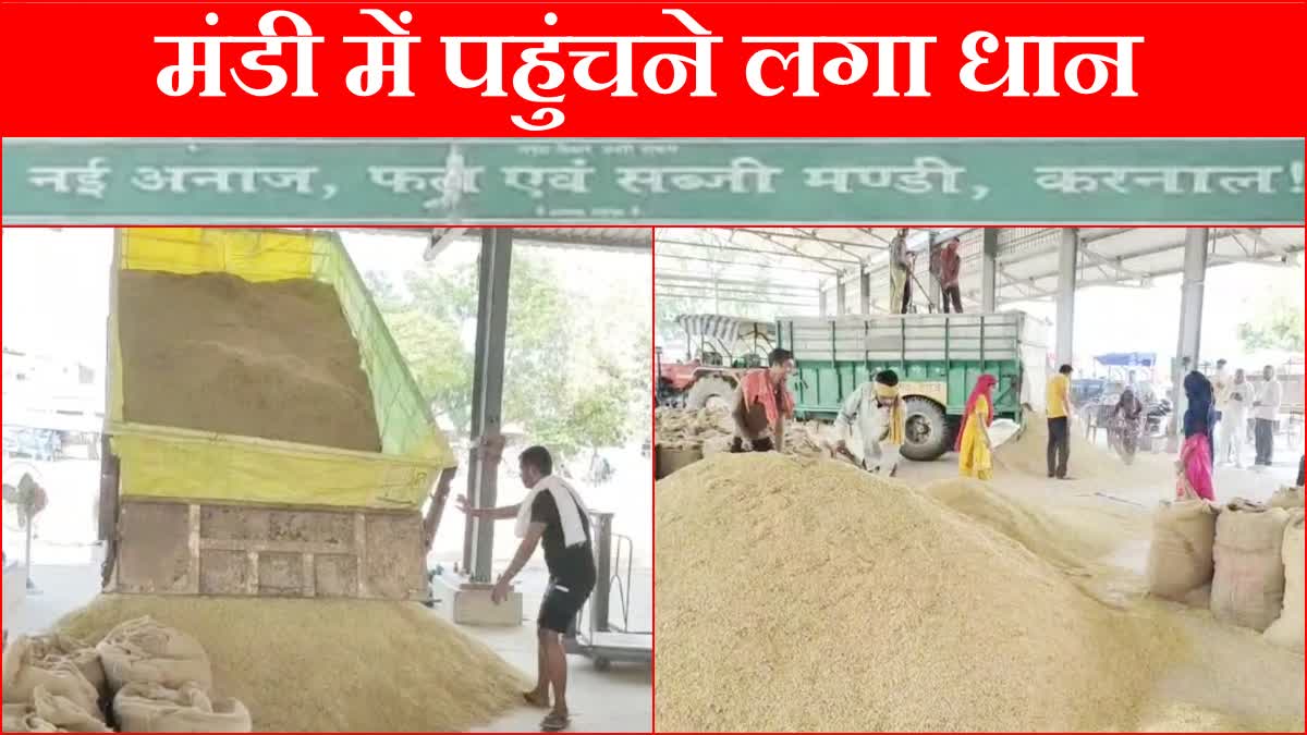 karnal anaj mandi government paddy procurement from 1 October