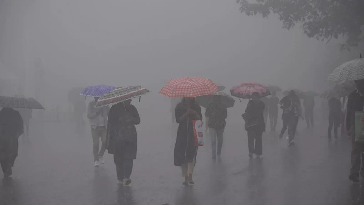 Kerala Weather Update  Rain alert in kerala  Kerala Weather Update Rain alert  സംസ്ഥാനത്ത് അടുത്ത അഞ്ച് ദിവസം മഴയ്‌ക്ക് സാധ്യത  മഴയ്‌ക്ക് സാധ്യത  സംസ്ഥാനത്ത് മഴയ്‌ക്ക് സാധ്യത  ഇന്ന് നാല് ജില്ലകളിൽ യെല്ലോ അലർട്ട്  യെല്ലോ അലർട്ട്  Yellow Alert In Four Districts Today  കേന്ദ്ര കാലാവസ്ഥ വകുപ്പിന്‍റെ അറിയിപ്പ്  Central Meteorological Department