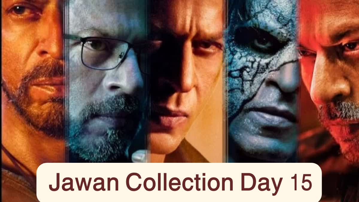 Etv BharatJawan Collection Day 15
