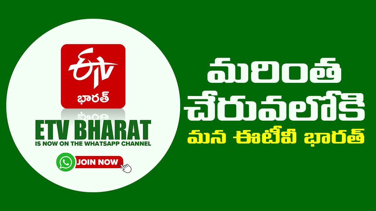 ETV Bharat Telugu