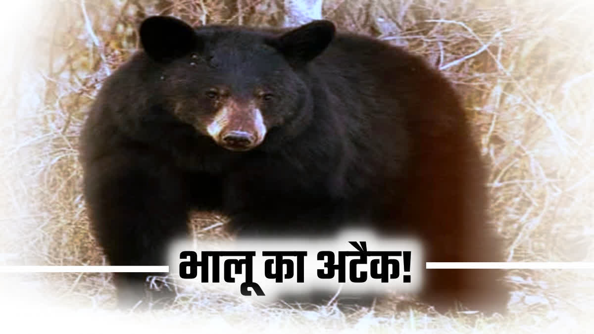 Bear Attacked on Woman in Dharali