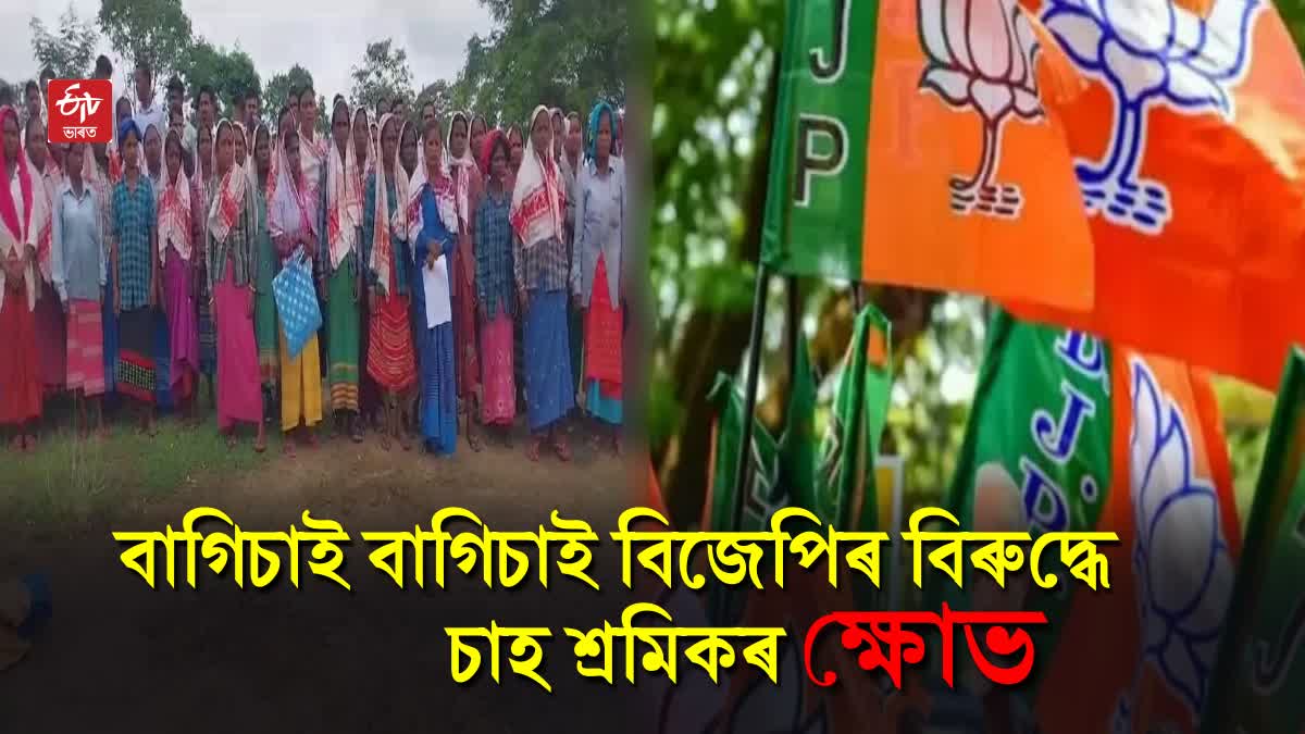 Tea Garden Workers Protest Against BJP Govt