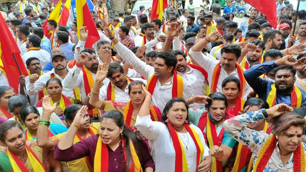 Karnataka rakshana vedike protest