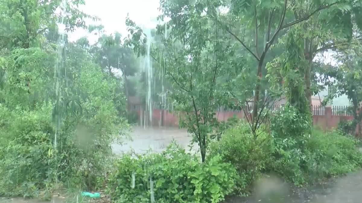 rain in sirsa