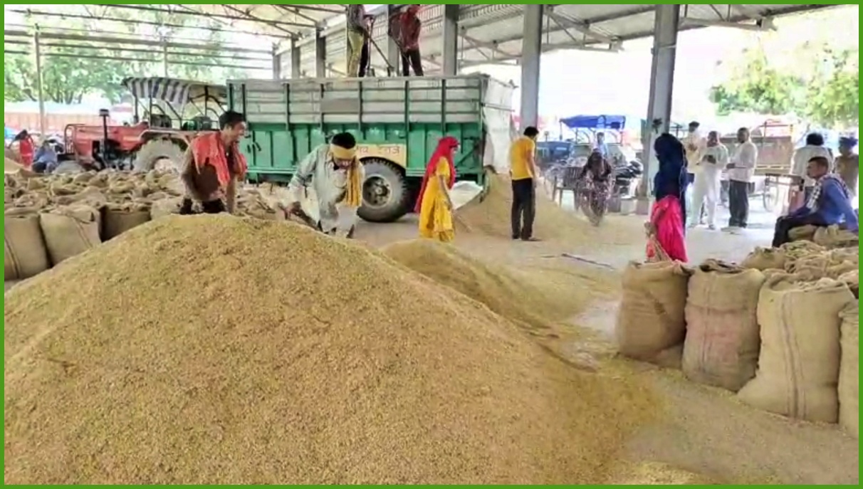 karnal anaj mandi government paddy procurement from 1 October