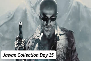 Jawan Collection Day 15