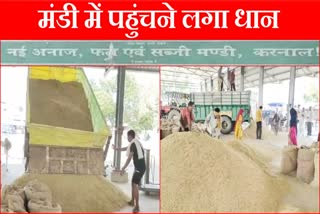 karnal anaj mandi government paddy procurement from 1 October