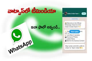 How to Follow Indian Cricket Team in WhatsApp