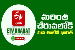 ETV Bharat Telugu