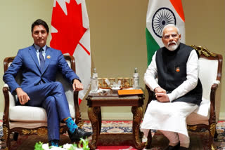 Amid a diplomatic standoff over the killing of a pro-Khalistan activist, the Ministry of External Affairs on Thursday said that Canada has not shared any material on the allegations first made by Prime Minister Justin Trudeau, and India, given the "security situation", was unable to carry out visa services for Canada for the time being.