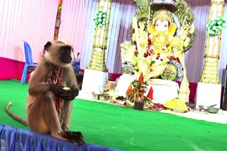 Ganesh Navaratri celebrations at Kondamuchu Pahara