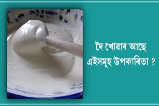 Include curd in your diet for instant energy, you will get many more amazing benefits