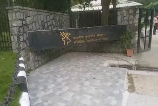 Indian Wildlife Institute Dehradun