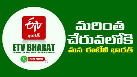 ETV Bharat Telugu