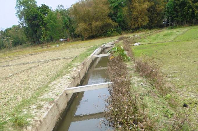 Assam irrigation