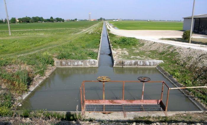 Assam irrigation