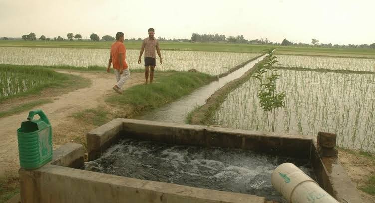 Assam irrigation