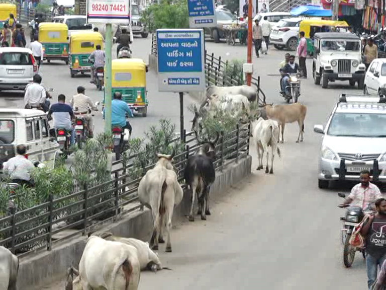 વાહનચાલાકોનો ભારે મુશ્કેલી