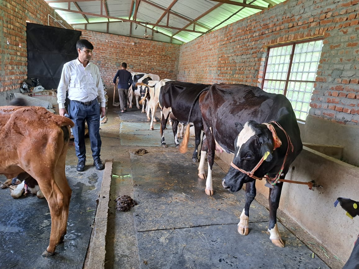 Dairy business in Rudraprayag