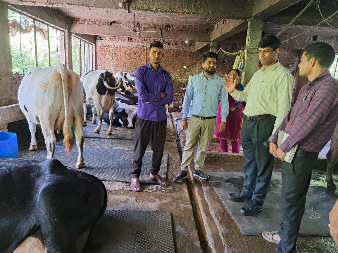 Dairy business in Rudraprayag