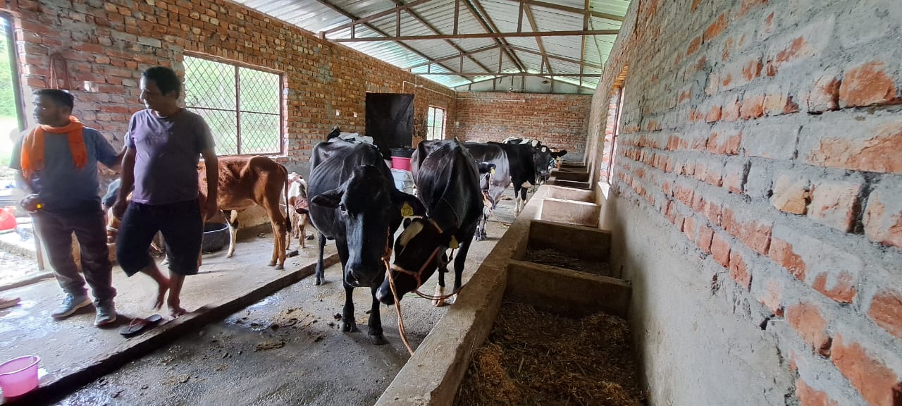 Dairy business in Rudraprayag