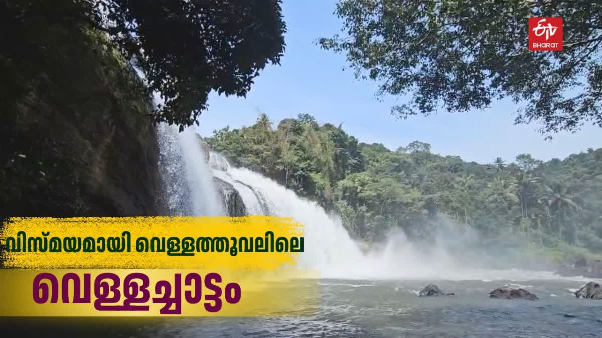 ചുനയംമാക്കൽ വെള്ളടച്ചാട്ടം  TOURIST SPOT IN IDUKKI  CHUNAYAMMAKKAL WATERFALLS  LATEST NEWS IN MALAYALAM