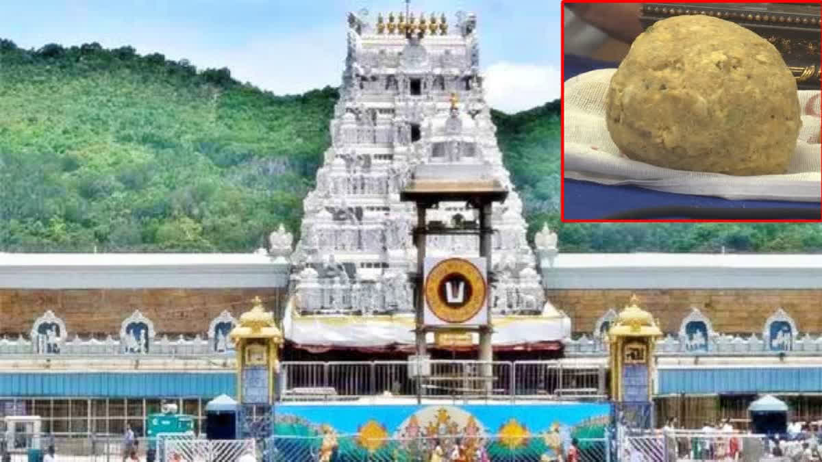 Collage of Tirumala Temple and Laddu Prasadam.