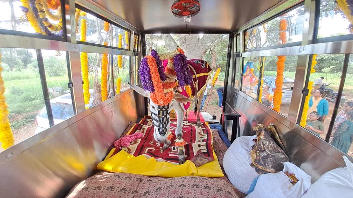 Bull leaves for Ayodhya Rama's darshan: Special bus costing 30 lakhs for Basappa's pilgrimage