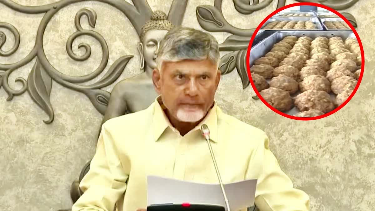 Tirupati Laddu Ghee Controversy