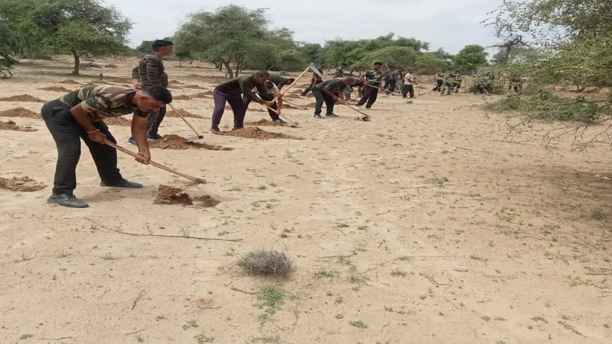 Plantation Campaign in Jaisalmer