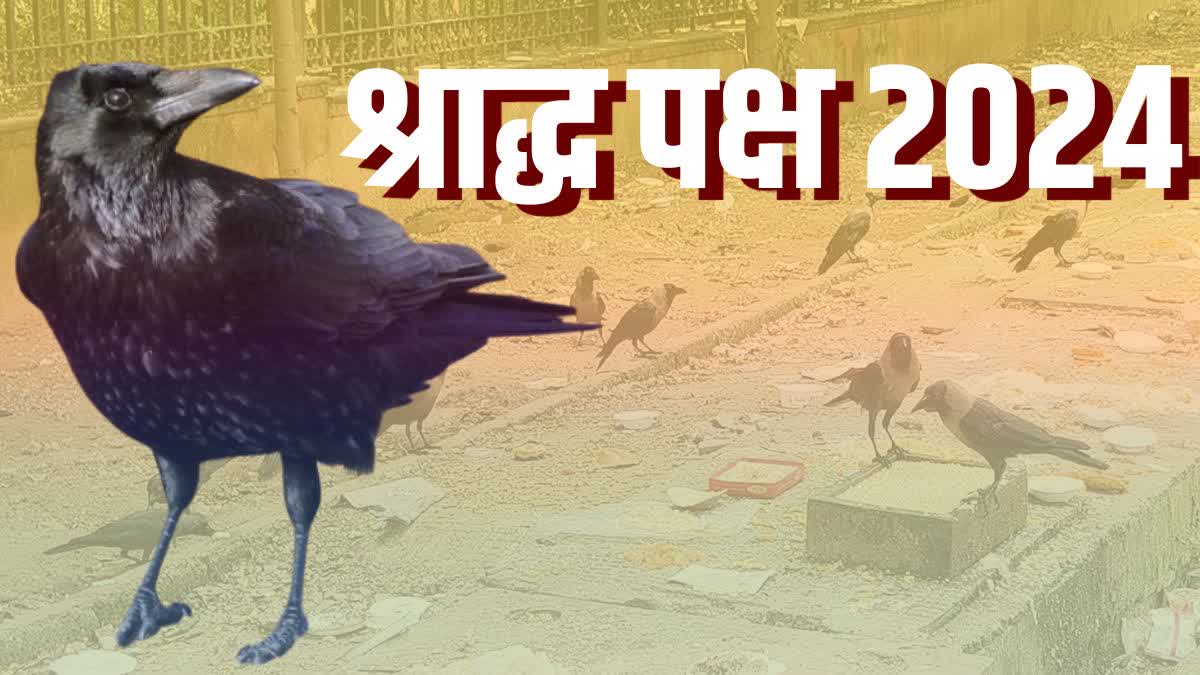 Shradh Paksha 2024