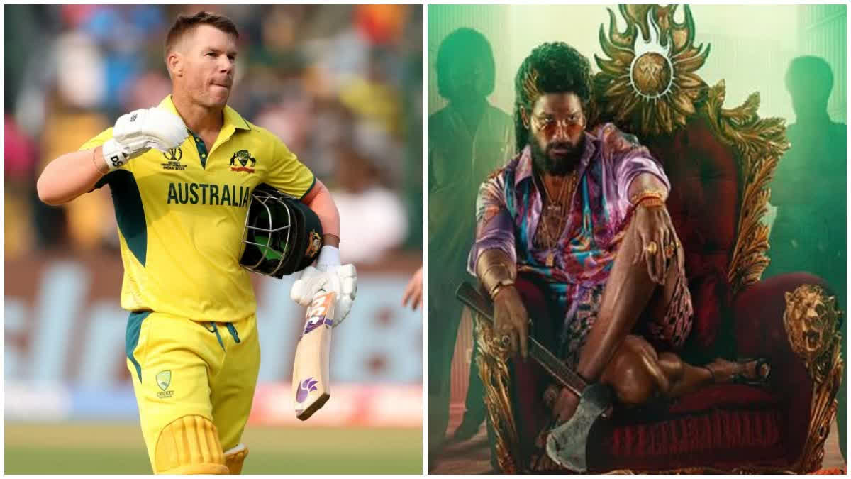 David Warner in Pushpa 2