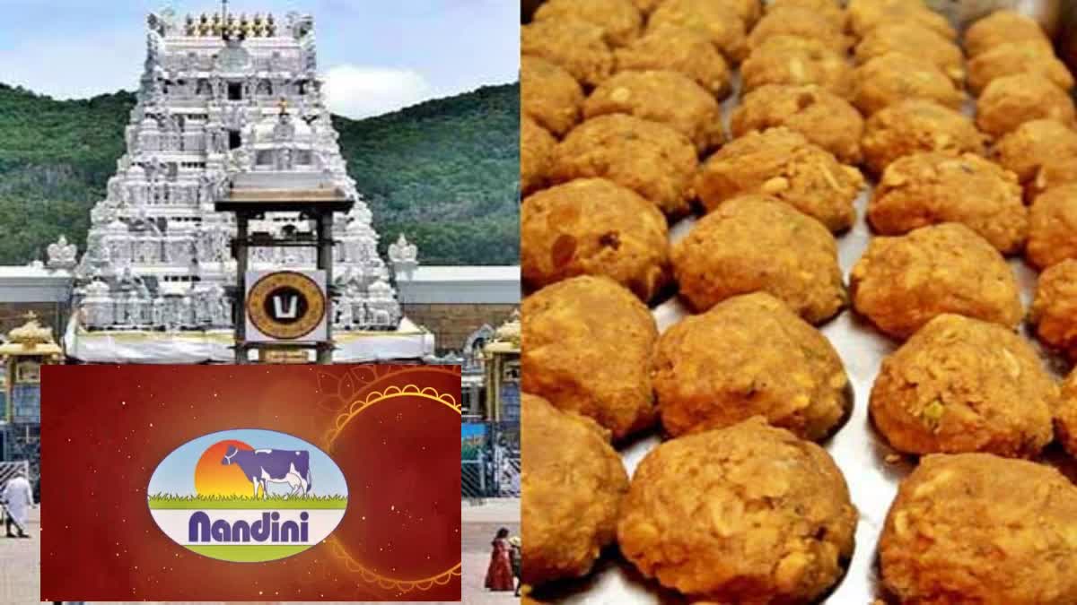 Tirupati Laddu Row Karnataka Milk Federation Receives order to supply Nandini ghee from TTD