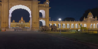 Passers-by Scare As 2 Dasara Elephants Break Out Of Mysuru Palace, Fight In Public