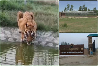 Dhela Rescue Center Inspection