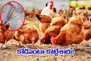 YSRCP Irregularities in Chicken Waste