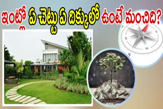 vastu tips for trees in home