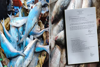 Bangladesh Exports Hilsa in West Bengal