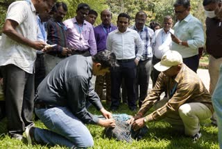 ಬೀದಿ ನಾಯಿಗಳಿಗೆ ಪ್ರಾಯೋಗಿಕವಾಗಿ ಮೈಕ್ರೋ ಚಿಪ್ ಅಳವಡಿಕೆ