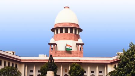 During the Supreme Court hearing on Union Minister L Murugan's defamation case, the bench remarked that politics requires a tough skin. Murugan is contesting a Madras High Court ruling that upheld a defamation complaint from the Murasoli trust regarding comments made during a 2020 press conference.