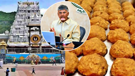 Chandrababu on Tirumala Laddu